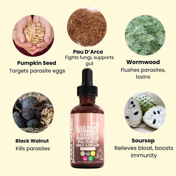 Wormwood Black Walnut Parasite Detox