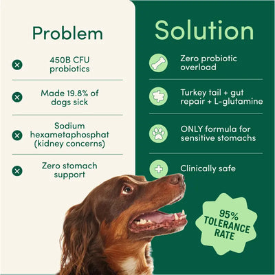 Breath Buddy Dog Dental Powder