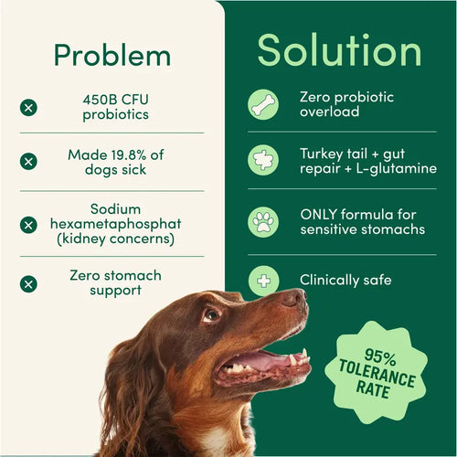 Breath Buddy Dog Dental Powder