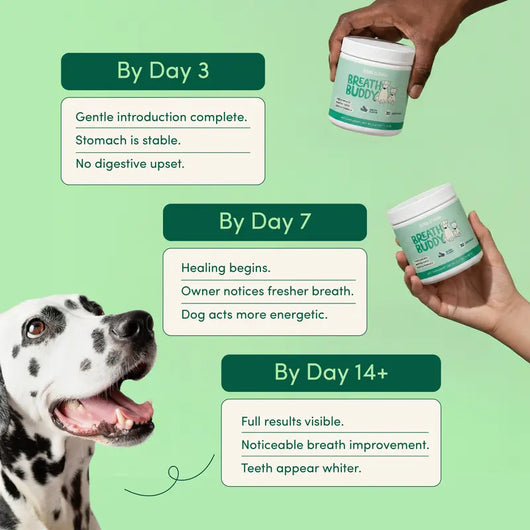 Breath Buddy Dog Dental Powder