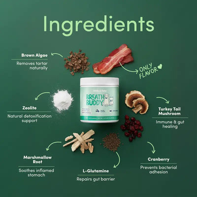 Breath Buddy Dog Dental Powder