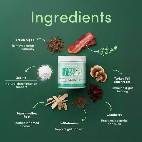 Breath Buddy Dog Dental Powder