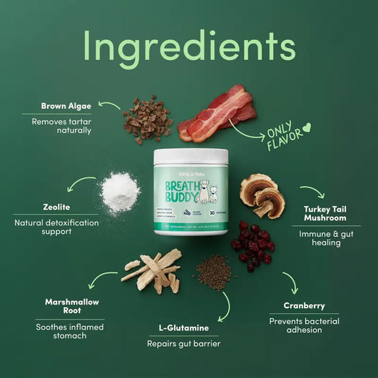 Breath Buddy Dog Dental Powder