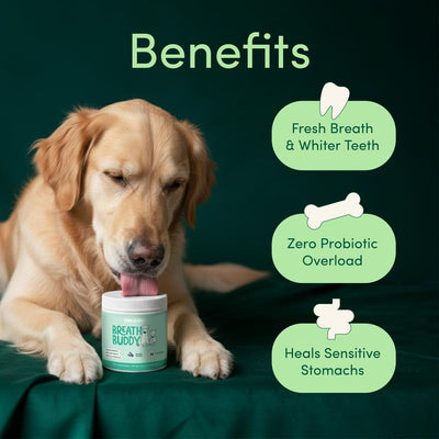Breath Buddy Dog Dental Powder